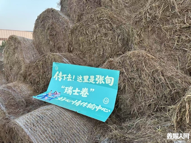 微信图片_20251201131035_64506_297.jpg