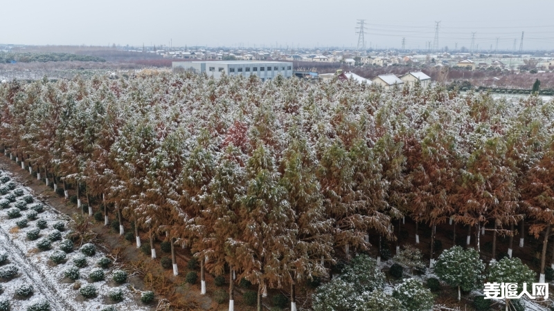 dji_fly_20260101_090056_0902_1767236767060_photo.jpg