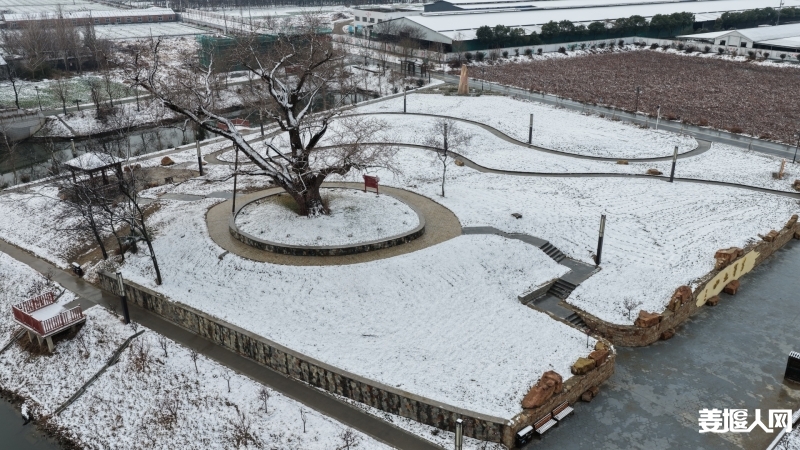 dji_fly_20260101_092044_0910_1767236717683_photo.jpg