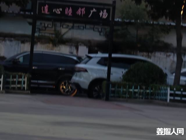 qi_niu_1789727440593_489_489_489.jpg